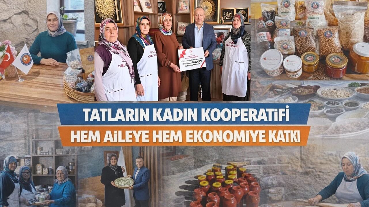 Özgeçmiş